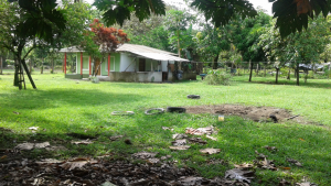 This is a picture of Tortuguero Primary School in Costa Rica.