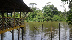This is a picture of a Boat Station in Tortuguero, Costa Rica.