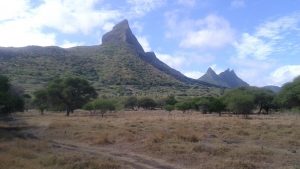 This is a picture of Casela Nature Park in Mauritius