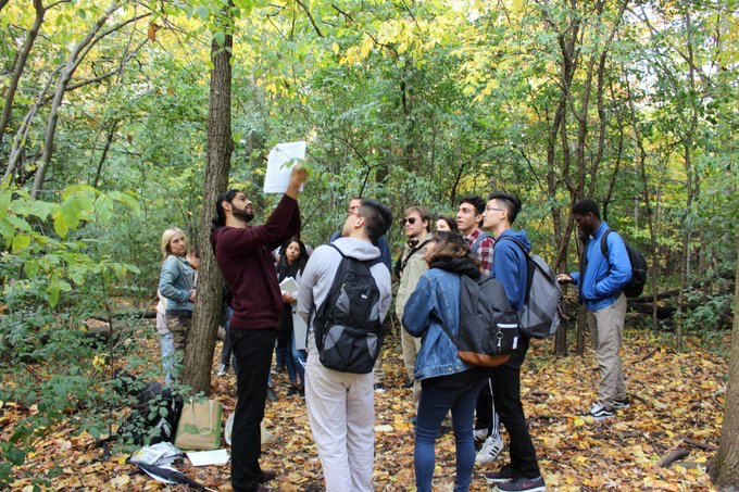 A small group of students listening to a TA in a forest