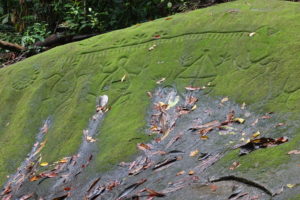 Indigenous Petroglyphs